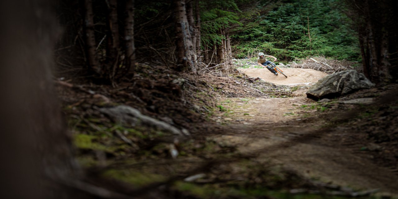 woodland bike trail 